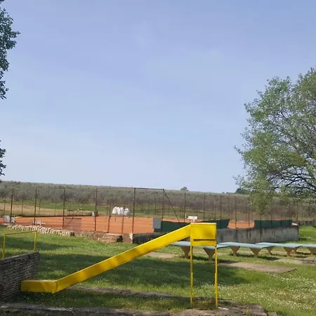 Garden *